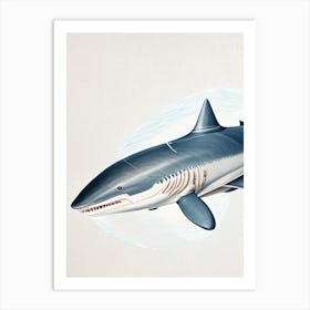Porbeagle Shark 3 Vintage Art Print