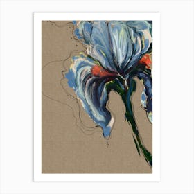 Iris Art Print