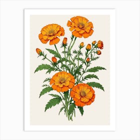 Marigolds Art Print