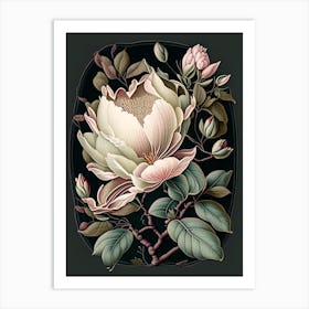 Magnolia 1 Floral Botanical Vintage Poster Flower Art Print