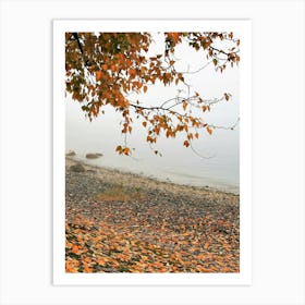 Autumn Leaves On The Beach Art Print