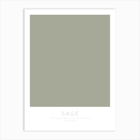 The Colour Block Collection - Sage Art Print