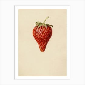 Strawberry 2 Art Print