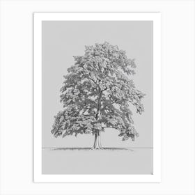 Elm Tree Minimalistic Drawing 3 Art Print