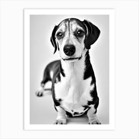 Dachshund B&W Pencil Dog Art Print