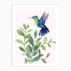 Hummingbird Watercolor Painting Art Print