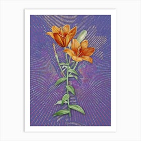 Vintage Orange Bulbous Lily Botanical Illustration on Veri Peri n.0252 Art Print