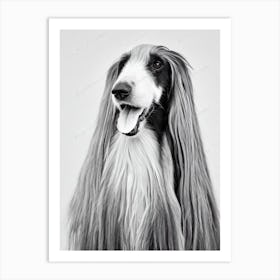 Afghan Hound 2 B&W Pencil Dog Art Print