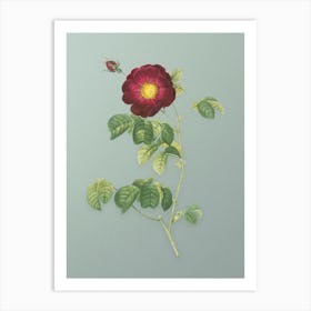 Vintage Rose Botanical Art on Mint Green n.0654 Art Print