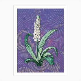 Vintage Eucomis Punctata Botanical Illustration on Veri Peri n.0355 Art Print