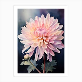 Pink Chrysanthemum Art Print