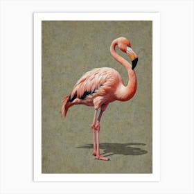 Flamingo 36 Art Print