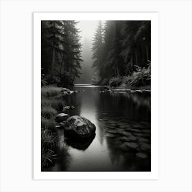 Black And White Forest Art Print