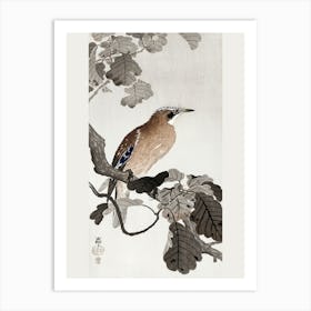 Jay On Tree Branch (1900 1910), Ohara Koson Art Print