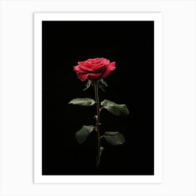 Single Rose On Black Background 9 Art Print