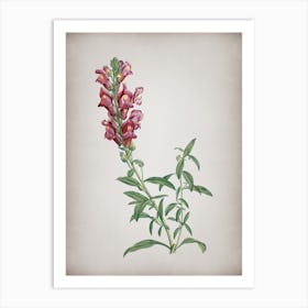 Vintage Red Dragon Flowers Botanical on Parchment n.0860 Art Print