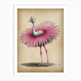 Ostrich With Pink Feathers Art Print