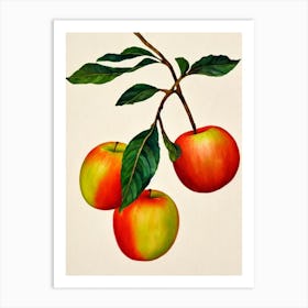 Apple Watercolour Fruit Painting Fruit Art Print