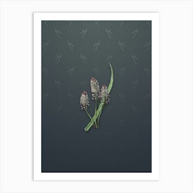 Vintage Meadow Squill Flower Botanical on Slate Gray Pattern n.2331 Art Print