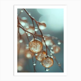 Tiny Glass Berries Art Print