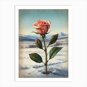 Rose In The Snow 1 Art Print