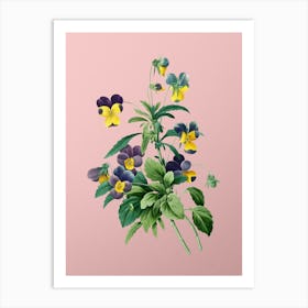 Vintage Johnny Jump Up Botanical on Soft Pink Art Print