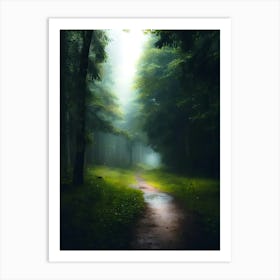 Path In The Woods 3 Art Print