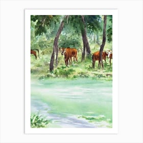Yala National Park Sri Lanka Water Colour Poster Art Print