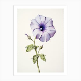 Pressed Flower Botanical Art Petunia 1 Art Print