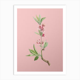 Vintage Pink Flower Branch Botanical on Soft Pink n.0894 Art Print