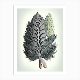White Pine Leaf Vintage Botanical Art Print