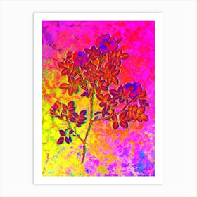 Rose Corymb Botanical in Acid Neon Pink Green and Blue Art Print
