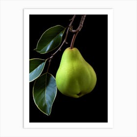 Pear 6 Art Print