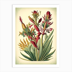 Kangaroo Paw 2 Floral Botanical Vintage Poster Flower Art Print
