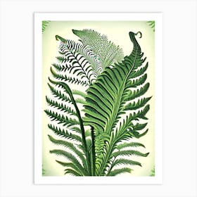 Ostrich Fern Vintage Botanical Poster Art Print