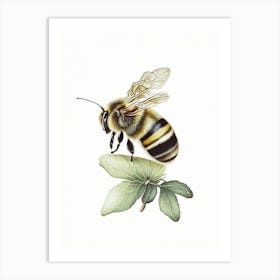 Solitary Bee 2 Vintage Art Print