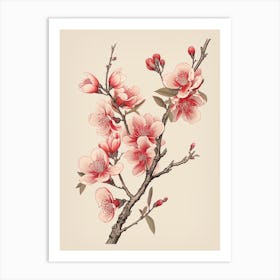 Sakura Cherry Blossom 4 Vintage Japanese Botanical Art Print