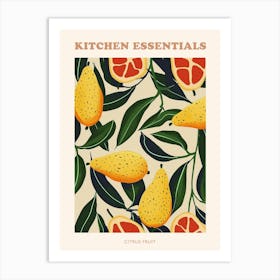 Citrus Fruit Abstract Illustration Poster 2 Art Print