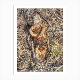 Hearts on driftwood Art Print