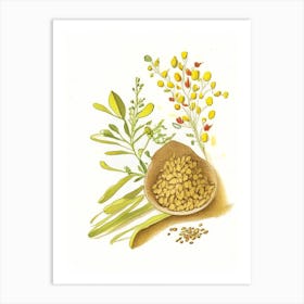 Fenugreek Spices And Herbs Pencil Illustration 3 Art Print