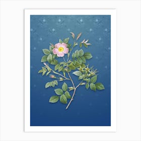 Vintage Malmedy Rose Botanical on Bahama Blue Pattern n.2416 Art Print