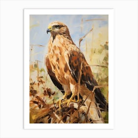 Bird Painting Hawk 3 Art Print