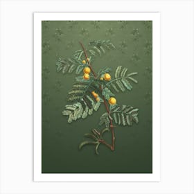 Vintage Sweet Acacia Botanical on Lunar Green Pattern n.2587 Art Print