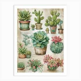 Succulents In Pots Art Print