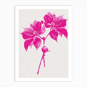 Hot Pink Poinsettia 1 Art Print