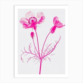 Hot Pink Nigella 2 Art Print