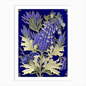 Jacaranda 3 Floral Botanical Vintage Poster Flower Art Print