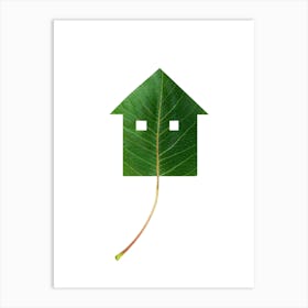 Green House On A Leaf Art Print