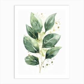Eucalyptus 19 Art Print