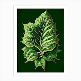 Basil Leaf Vintage Botanical 2 Art Print